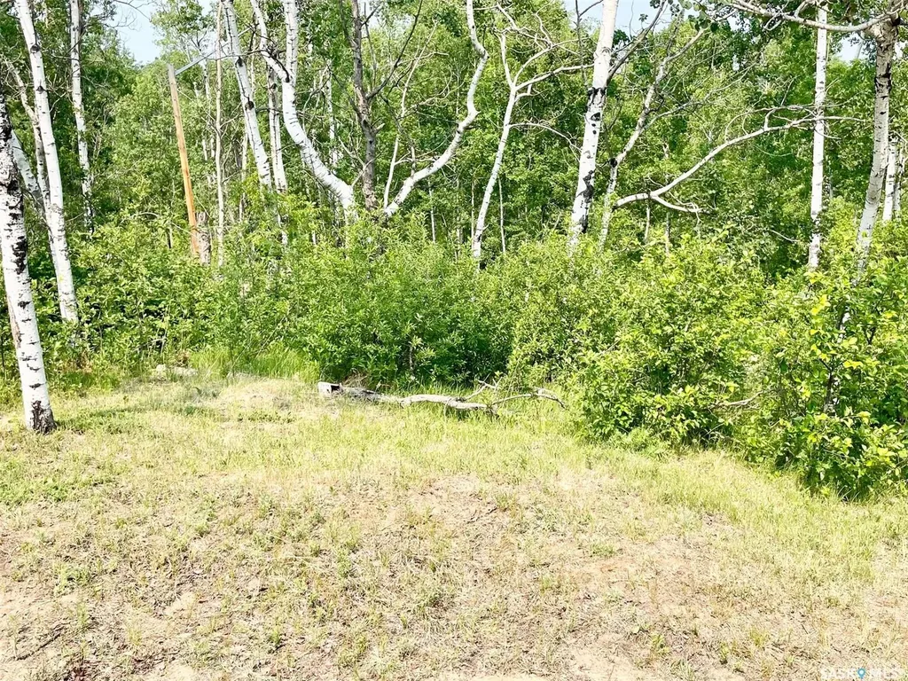 311 Sandy Crescent Good Spirit Lake SK S0A 0L0