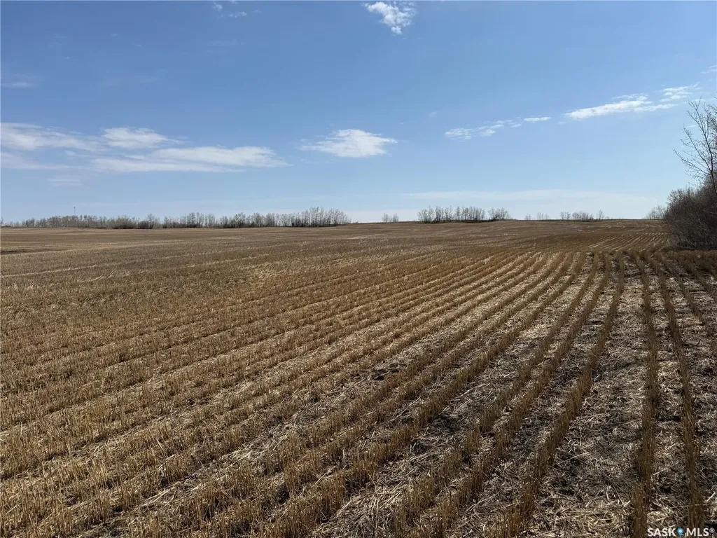 Rural Address Spiritwood Rm No. 496 SK S0J 2G0