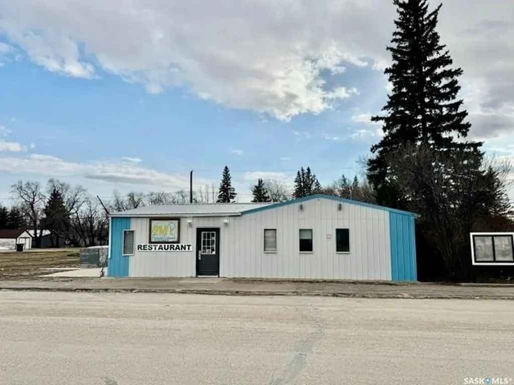 123 Aspen Street Leroy SK S0K 2P0