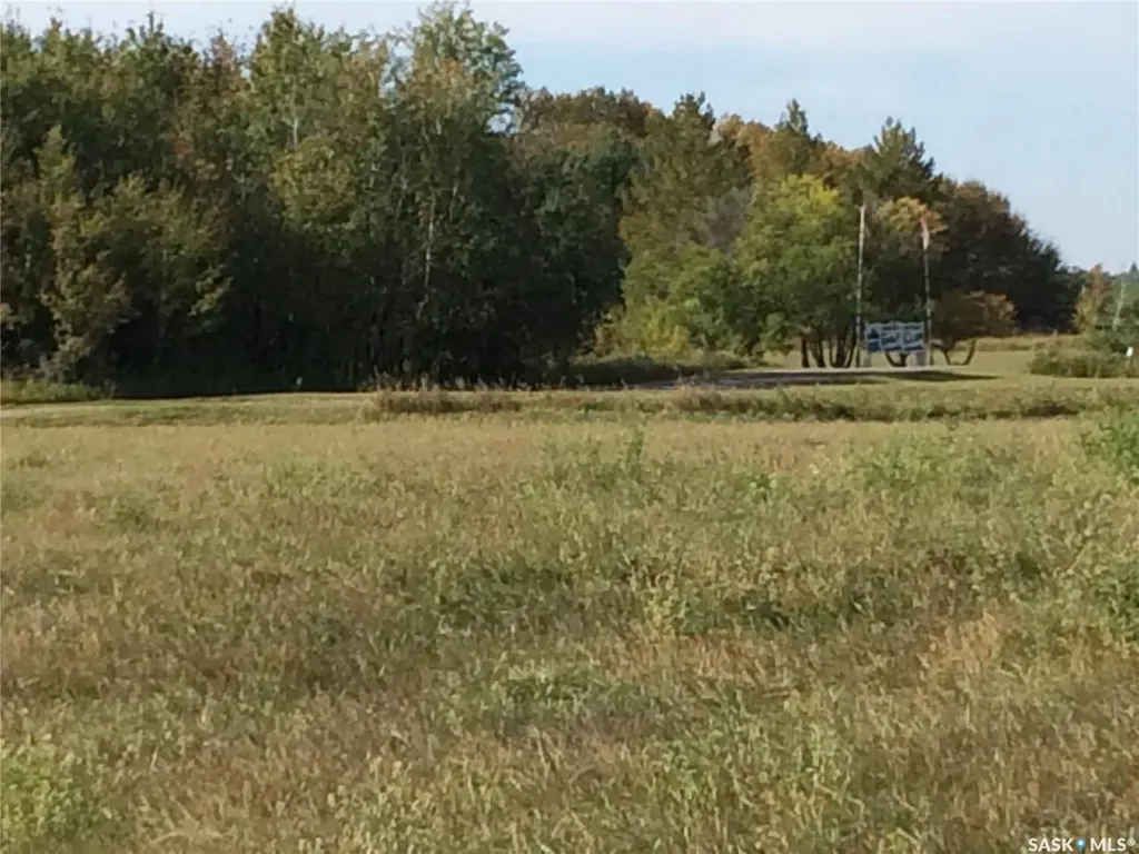 Rural Address Mervin SK S0M 1Y0