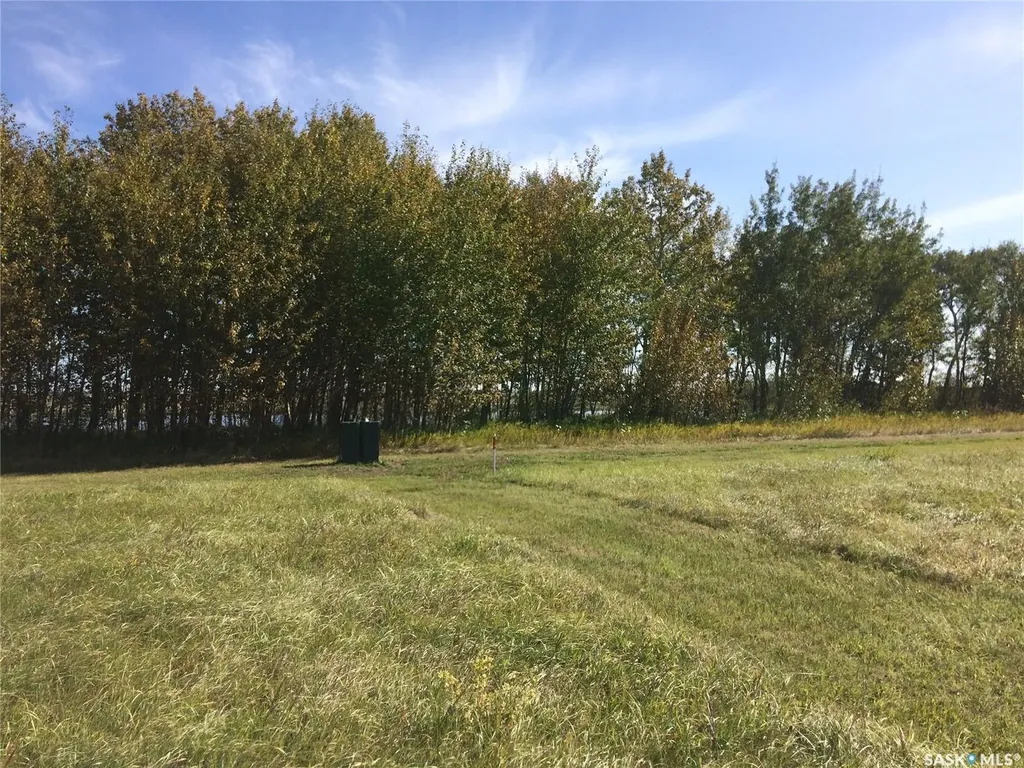 Rural Address Mervin SK S0M 1Y0