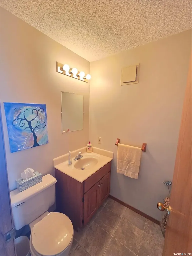 509 Carlyle Avenue Carlyle SK S0C 0R0