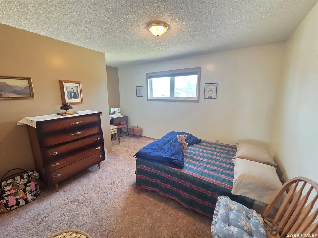 509 Carlyle Avenue Carlyle SK S0C 0R0