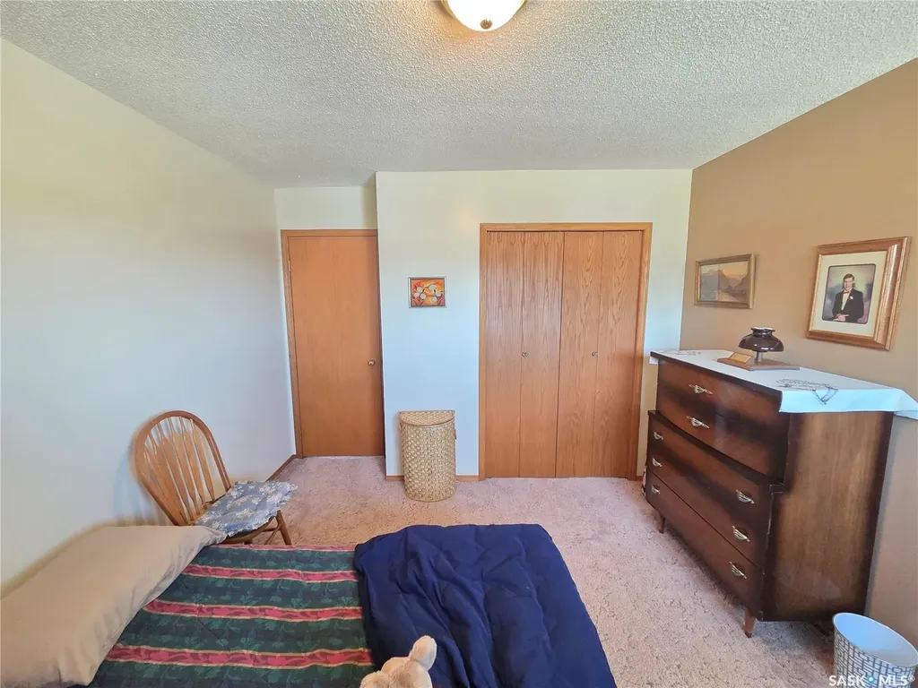 509 Carlyle Avenue Carlyle SK S0C 0R0