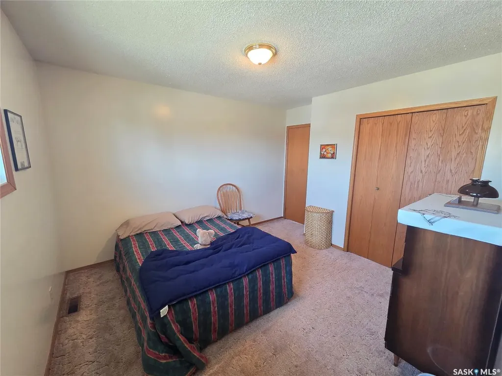 509 Carlyle Avenue Carlyle SK S0C 0R0
