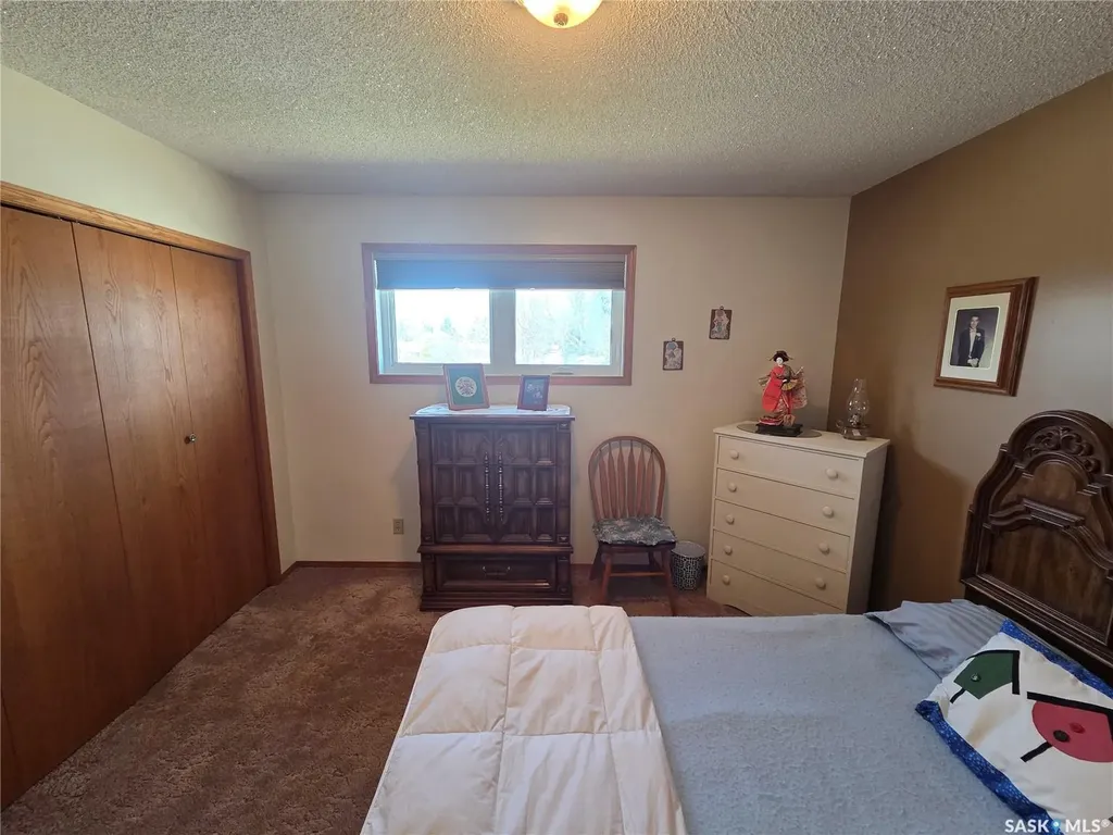 509 Carlyle Avenue Carlyle SK S0C 0R0