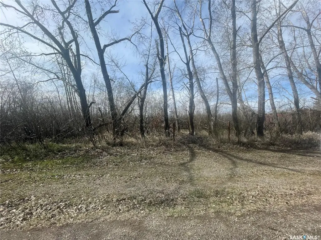103 Poplar Road Mclean SK S0G 3E0