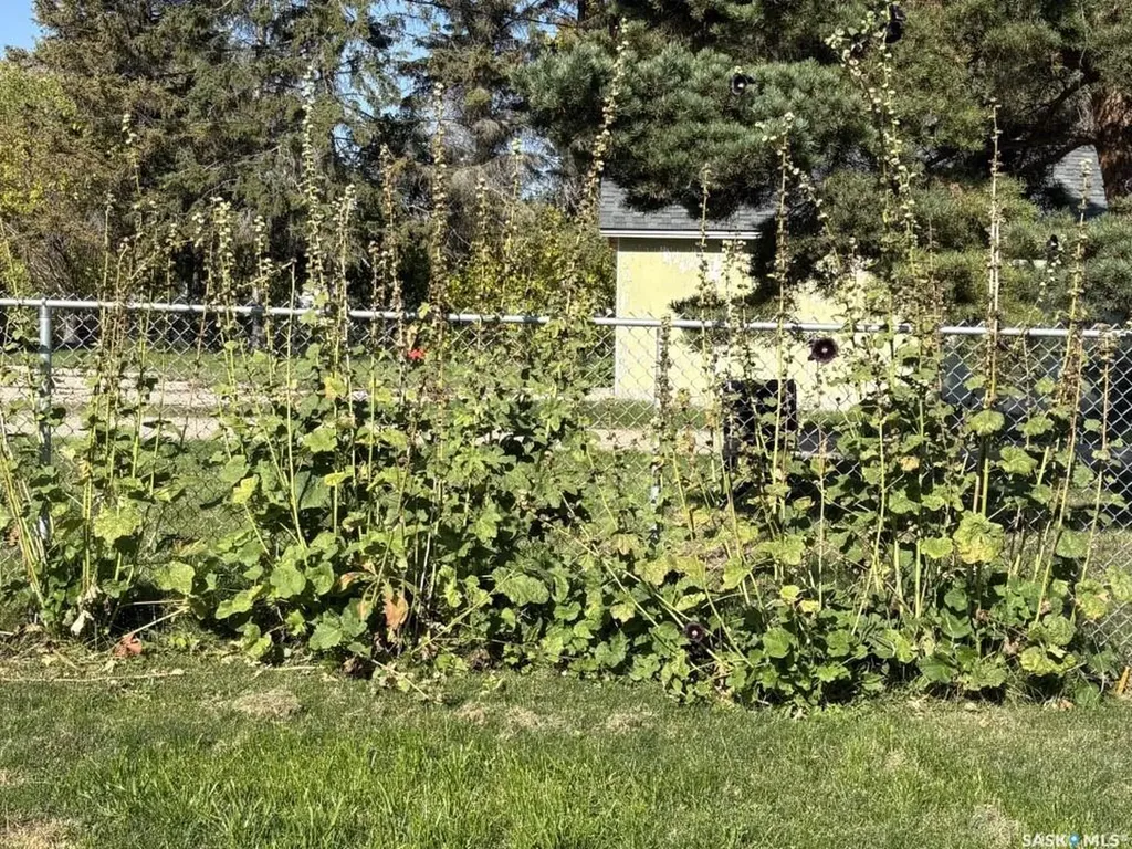 Rural Address Springside SK S0A 3V0