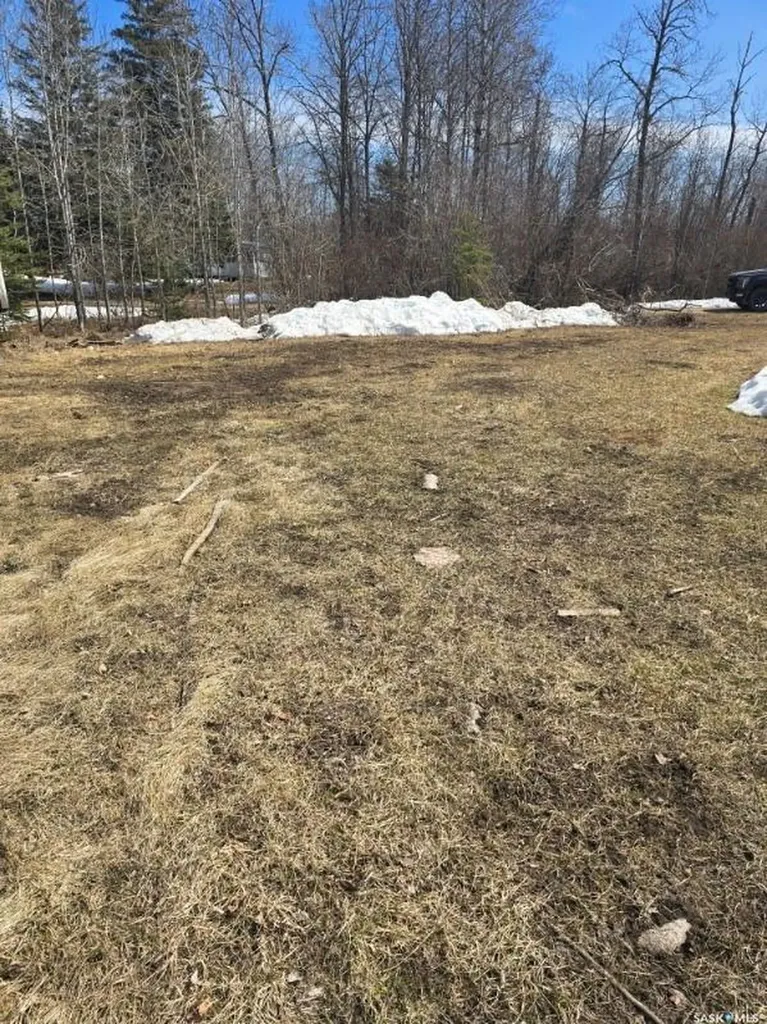 Lot 4 1st Avenue Preeceville Rm No. 334 SK S0A 0W0