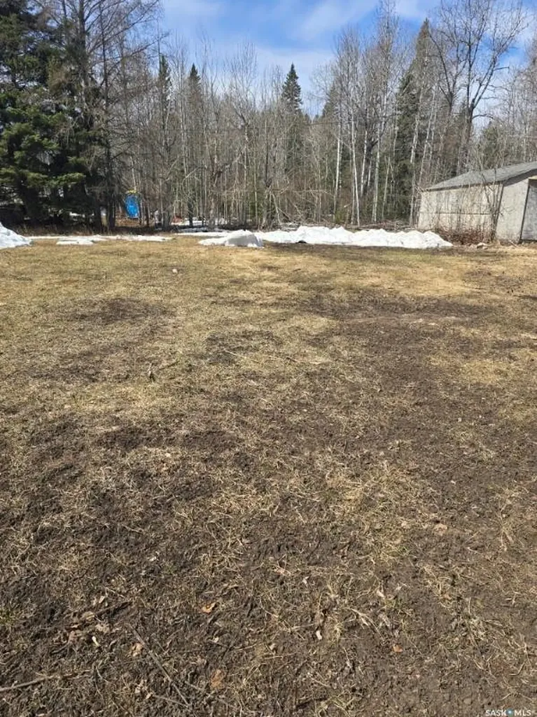 Lot 4 1st Avenue Preeceville Rm No. 334 SK S0A 0W0