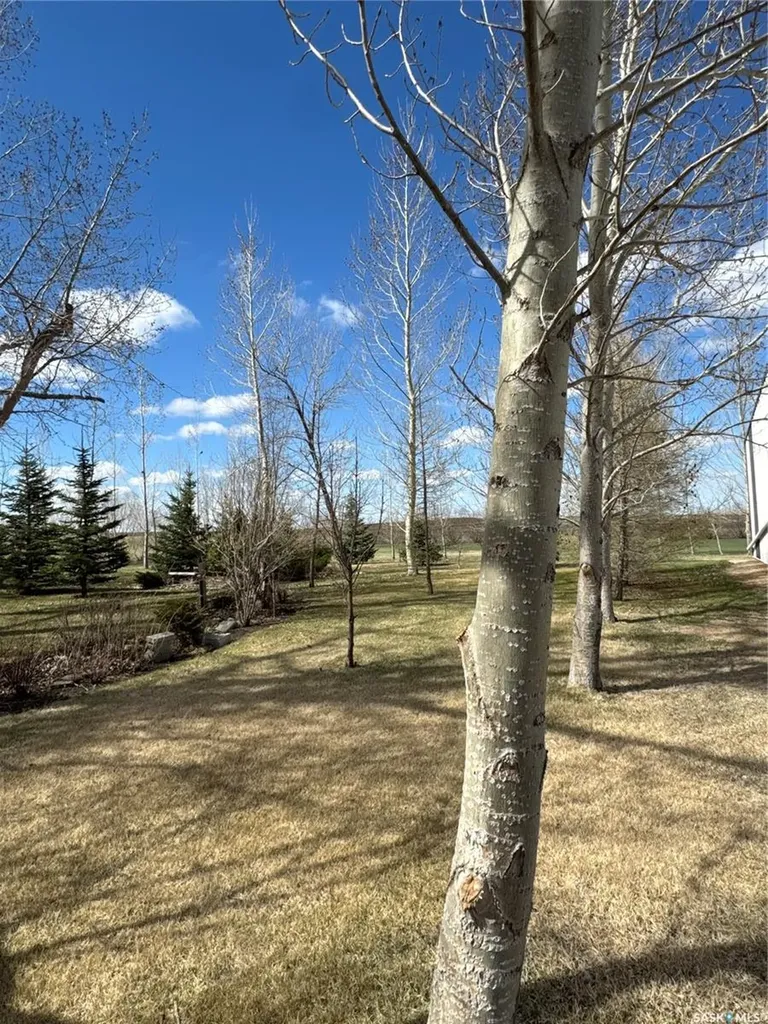 Rural Address Macoun SK S0C 1P0