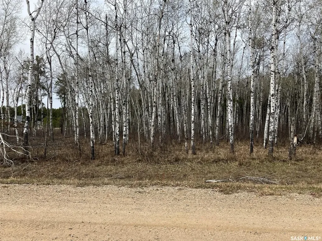 1 Aspen Way Nipawin Rm No. 487 SK S0E 1E0