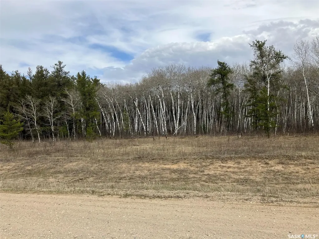 1 Aspen Way Nipawin Rm No. 487 SK S0E 1E0