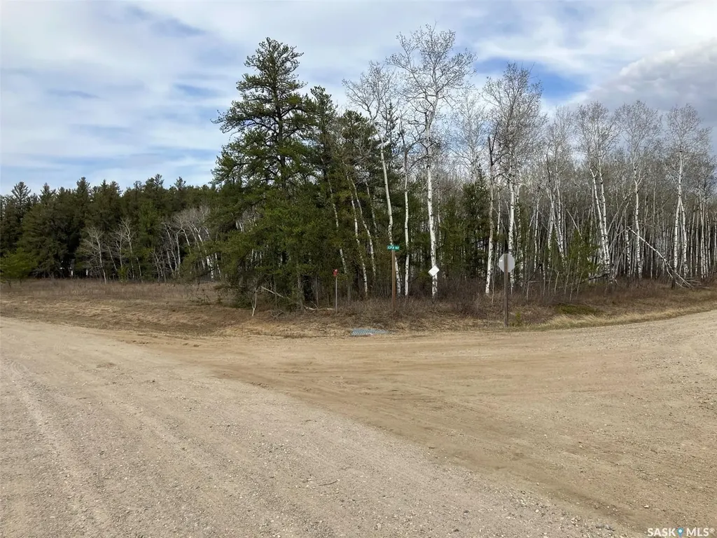 1 Aspen Way Nipawin Rm No. 487 SK S0E 1E0