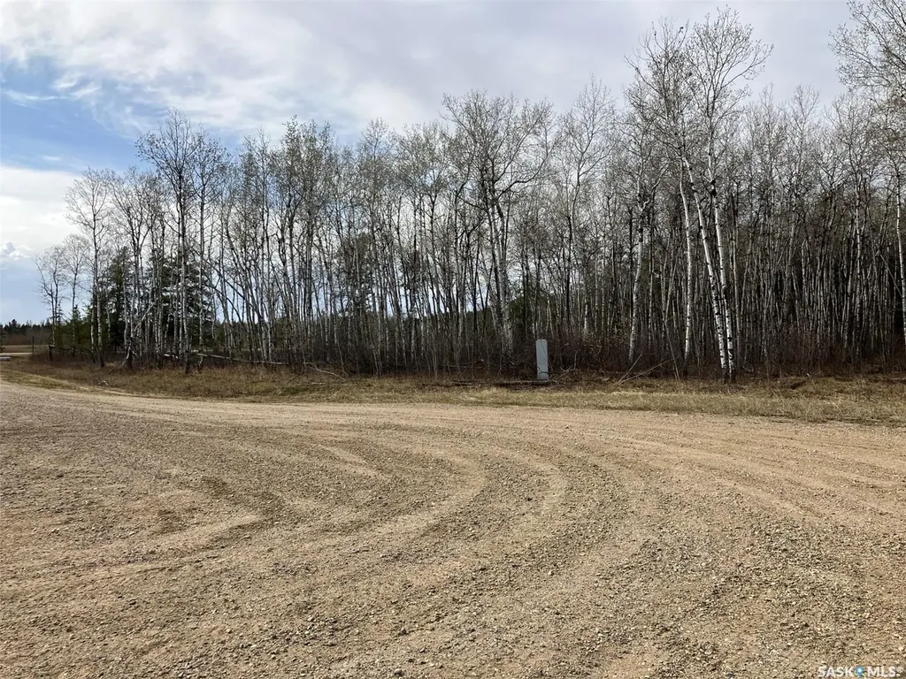 1 Aspen Way Nipawin Rm No. 487 SK S0E 1E0