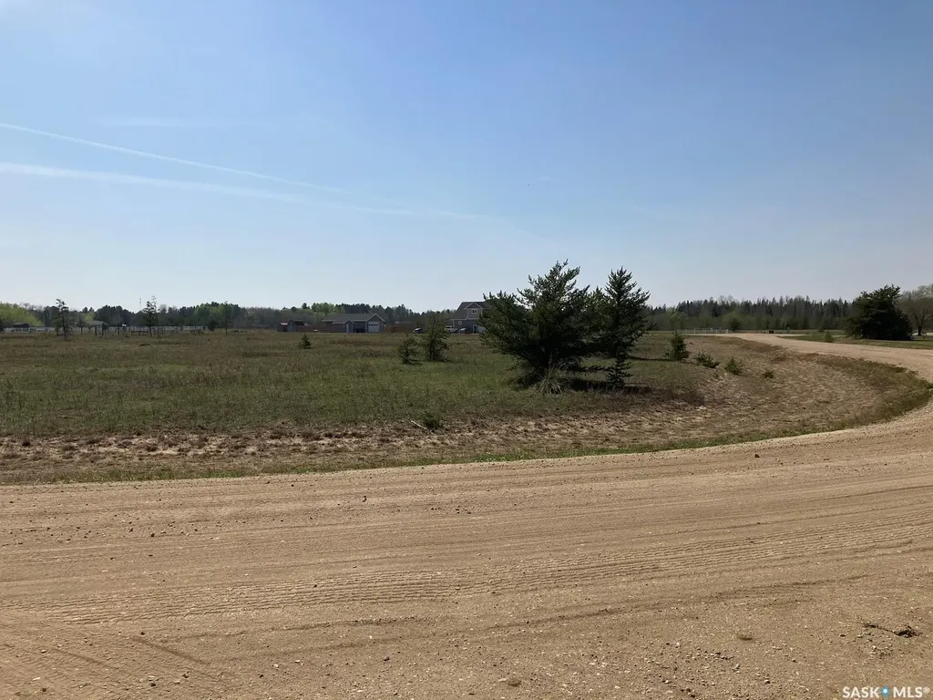 19 Burtman Drive S Nipawin Rm No. 487 SK S0E 1E0