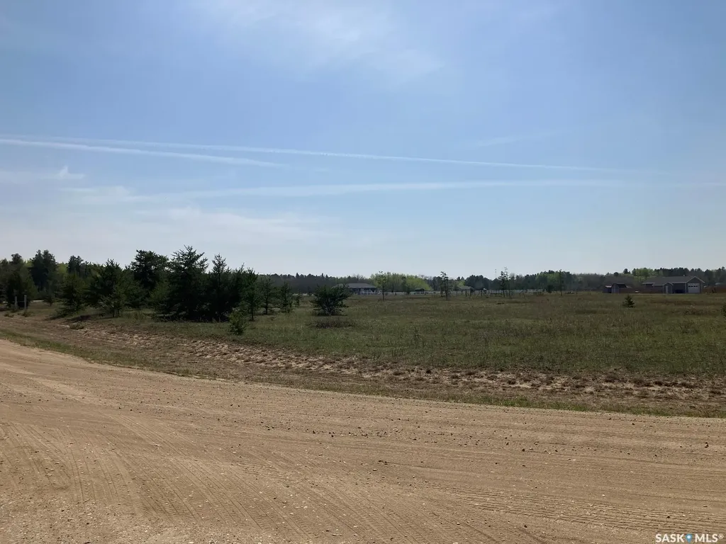 19 Burtman Drive S Nipawin Rm No. 487 SK S0E 1E0