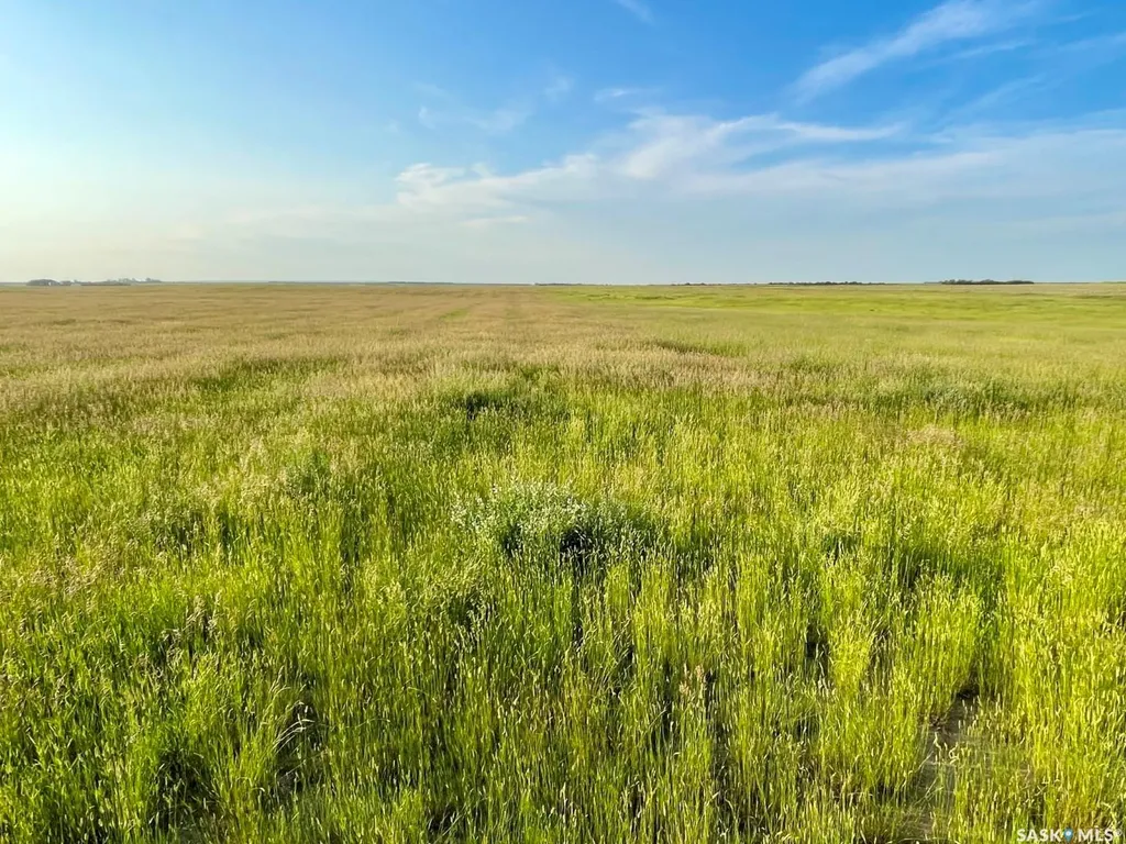 Rural Address Harris Rm No. 316 SK S0L 1K0