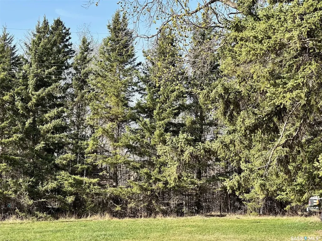 313 Hara Avenue Bjorkdale SK S0E 0Y0