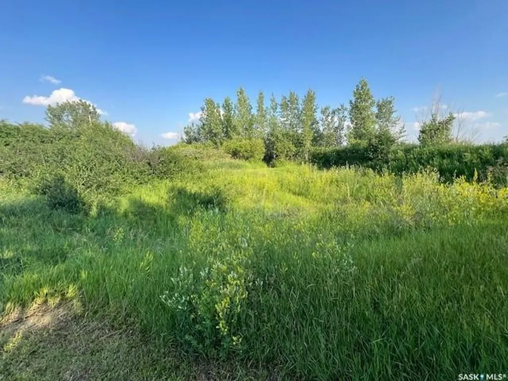 Rural Address Dundurn Rm No. 314 SK S7K 1M2