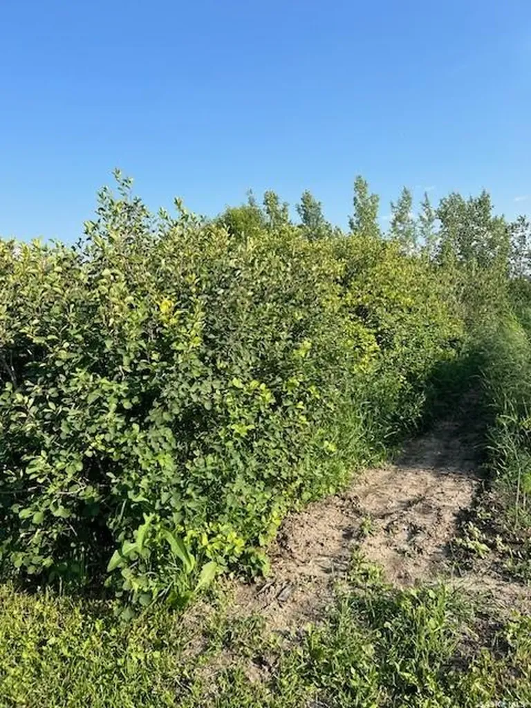 Rural Address Dundurn Rm No. 314 SK S7K 1M2