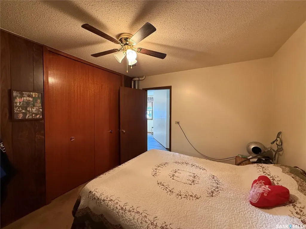 117 3rd Avenue NW Watson SK S0K 4V0
