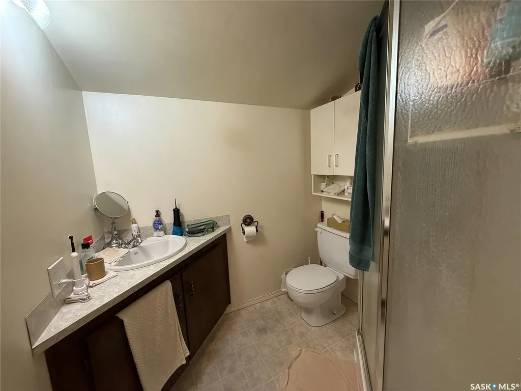 117 3rd Avenue NW Watson SK S0K 4V0