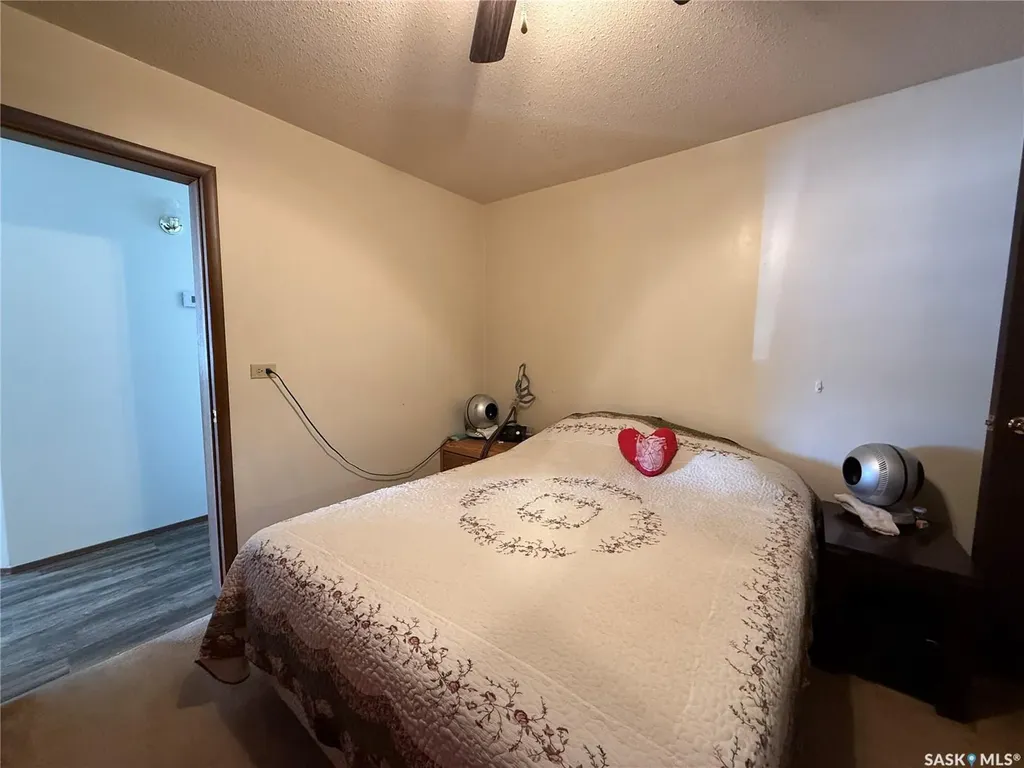 117 3rd Avenue NW Watson SK S0K 4V0