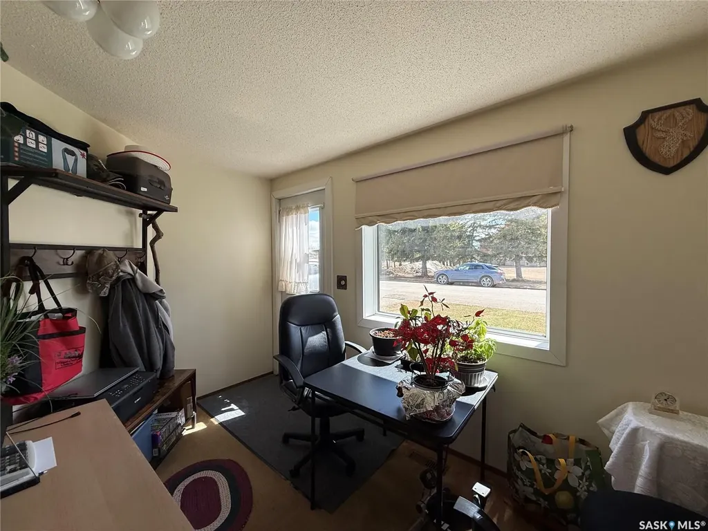 117 3rd Avenue NW Watson SK S0K 4V0