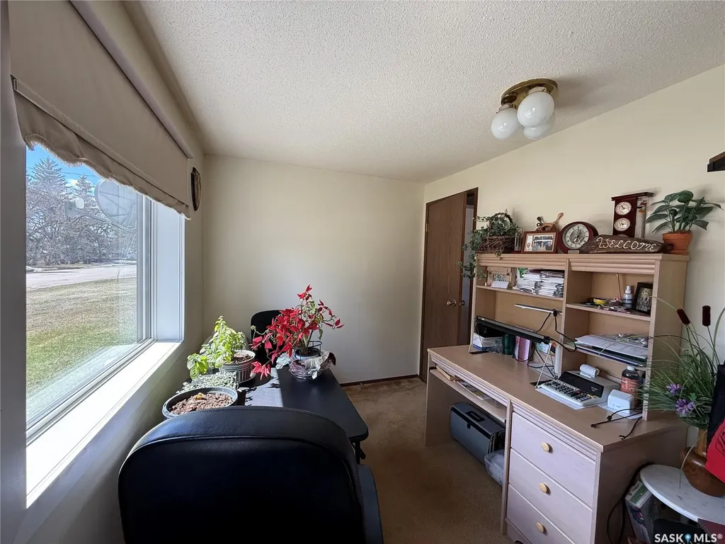 117 3rd Avenue NW Watson SK S0K 4V0