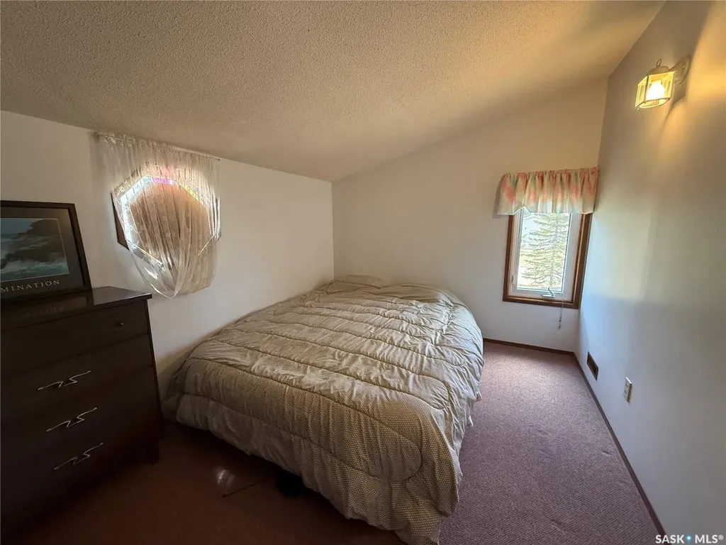 117 3rd Avenue NW Watson SK S0K 4V0