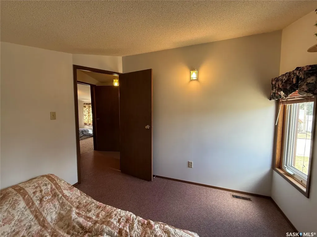 117 3rd Avenue NW Watson SK S0K 4V0