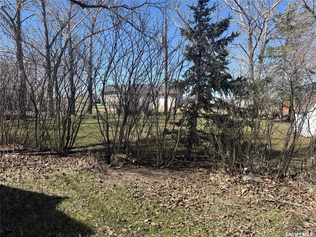 414 3rd Avenue Dodsland SK S0L 0V0