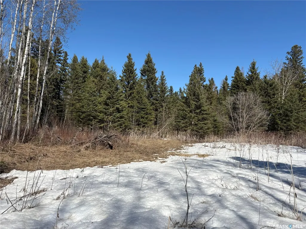Rural Address Big River Rm No. 555 SK S0J 0E0