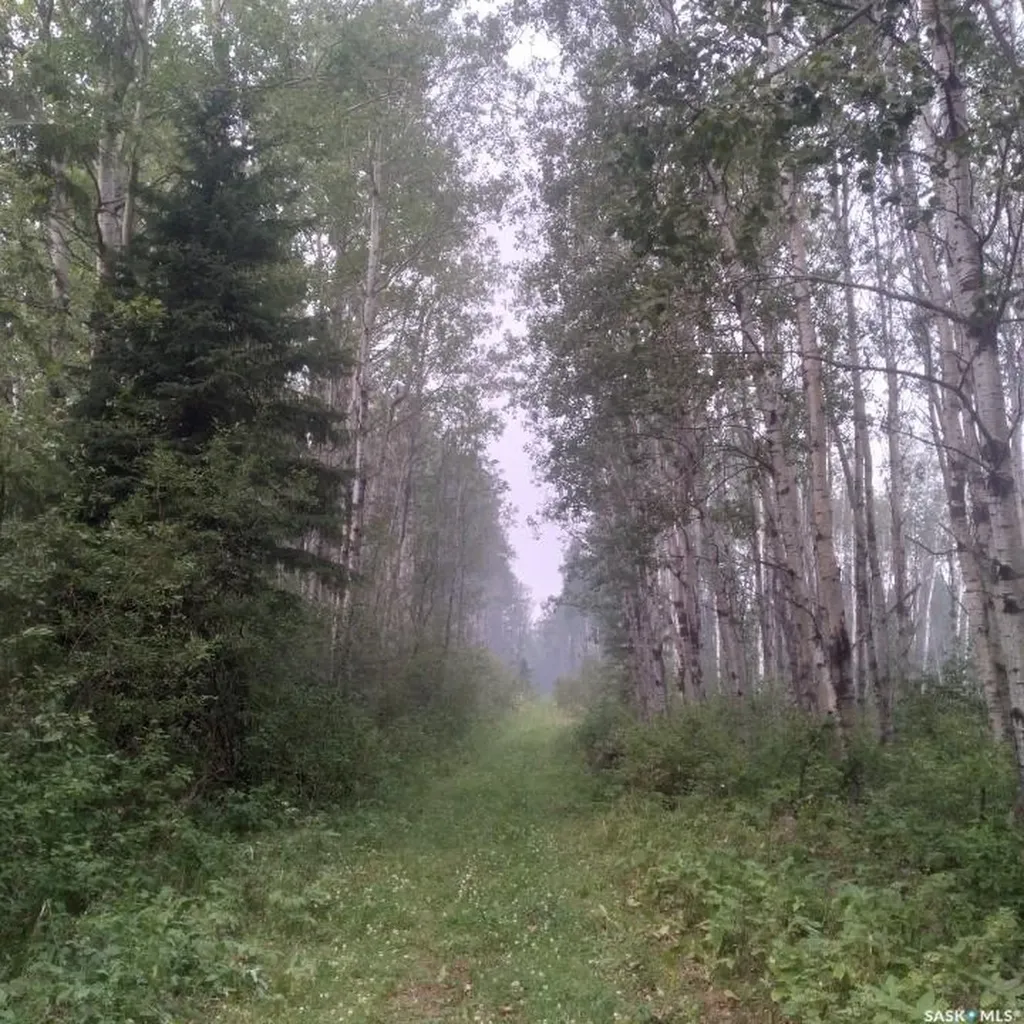 Rural Address Big River Rm No. 555 SK S0J 0E0