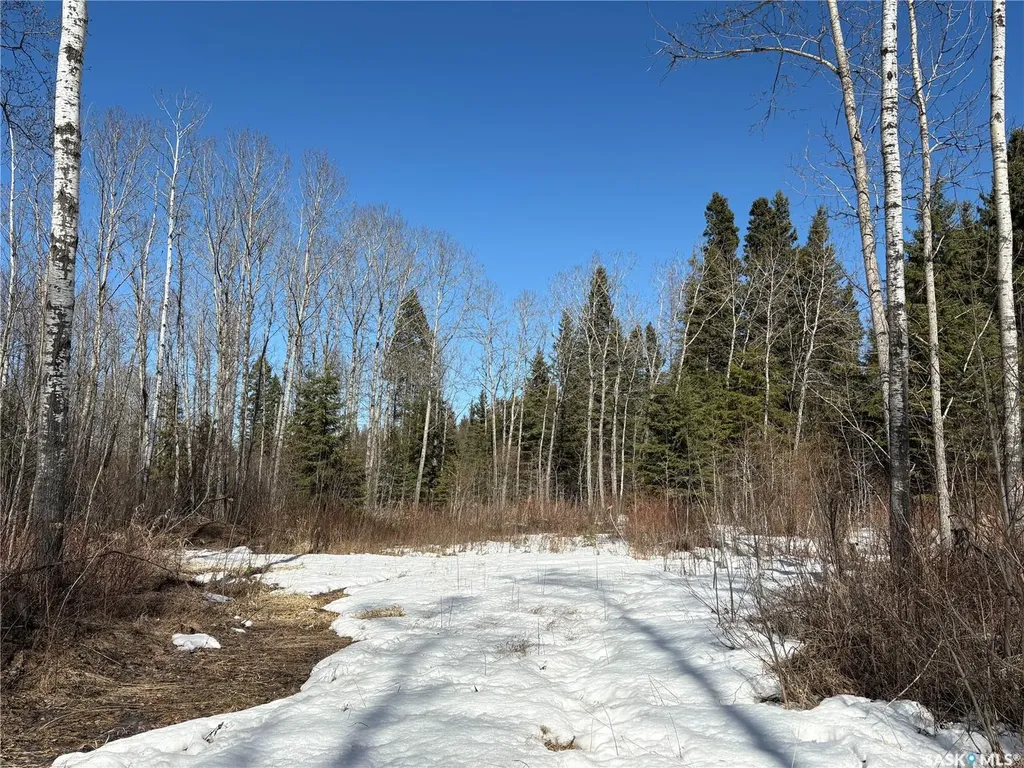 Rural Address Big River Rm No. 555 SK S0J 0E0