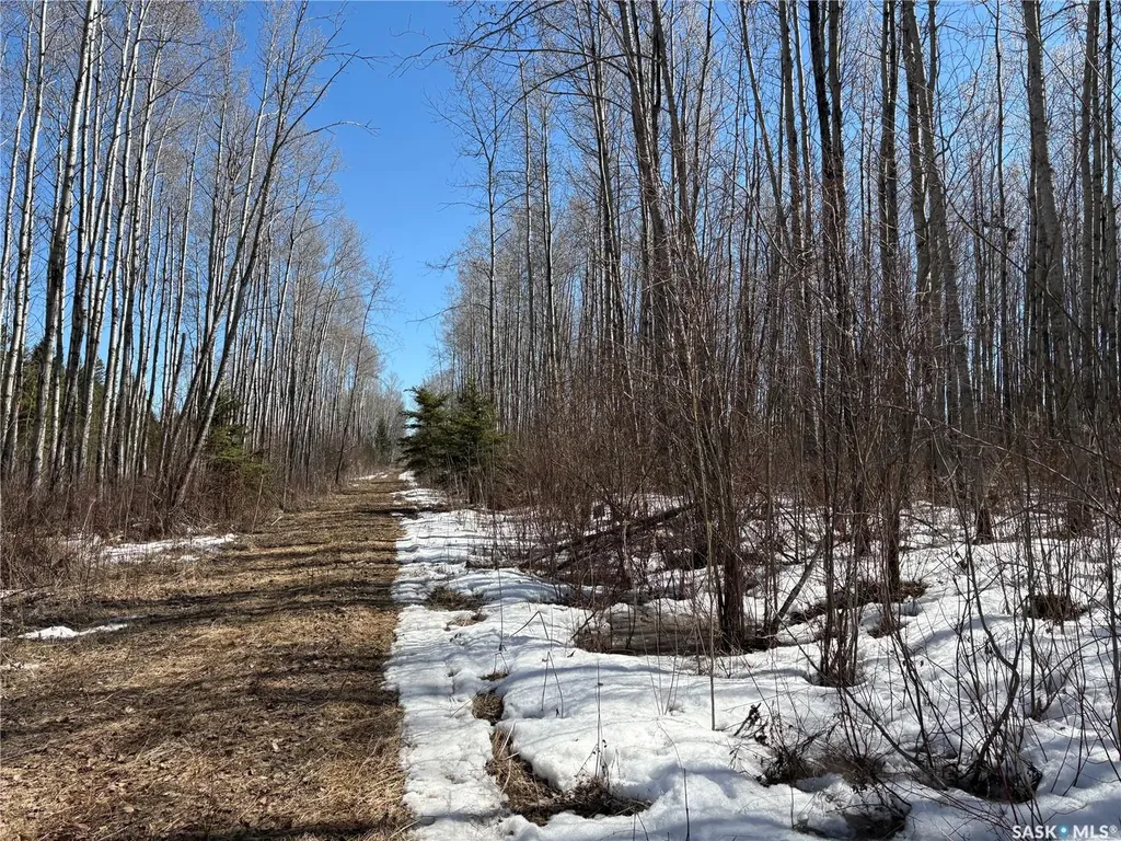 Rural Address Big River Rm No. 555 SK S0J 0E0