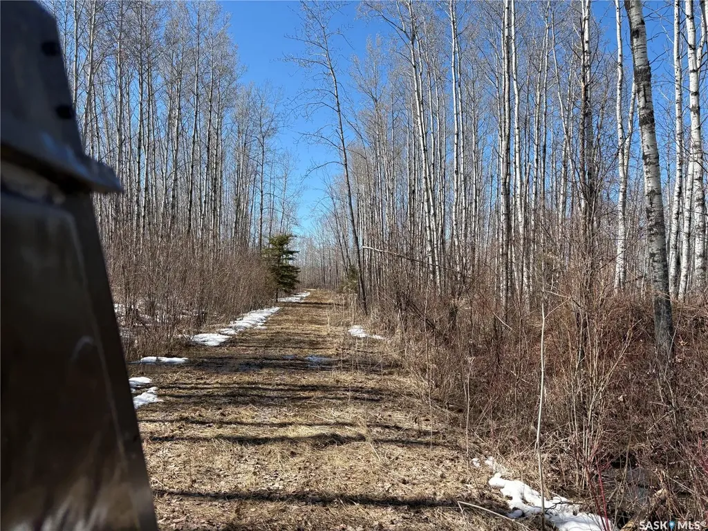 Rural Address Big River Rm No. 555 SK S0J 0E0