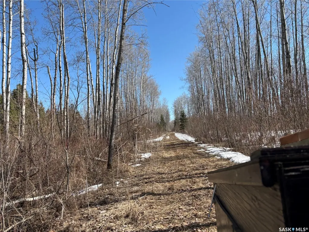 Rural Address Big River Rm No. 555 SK S0J 0E0