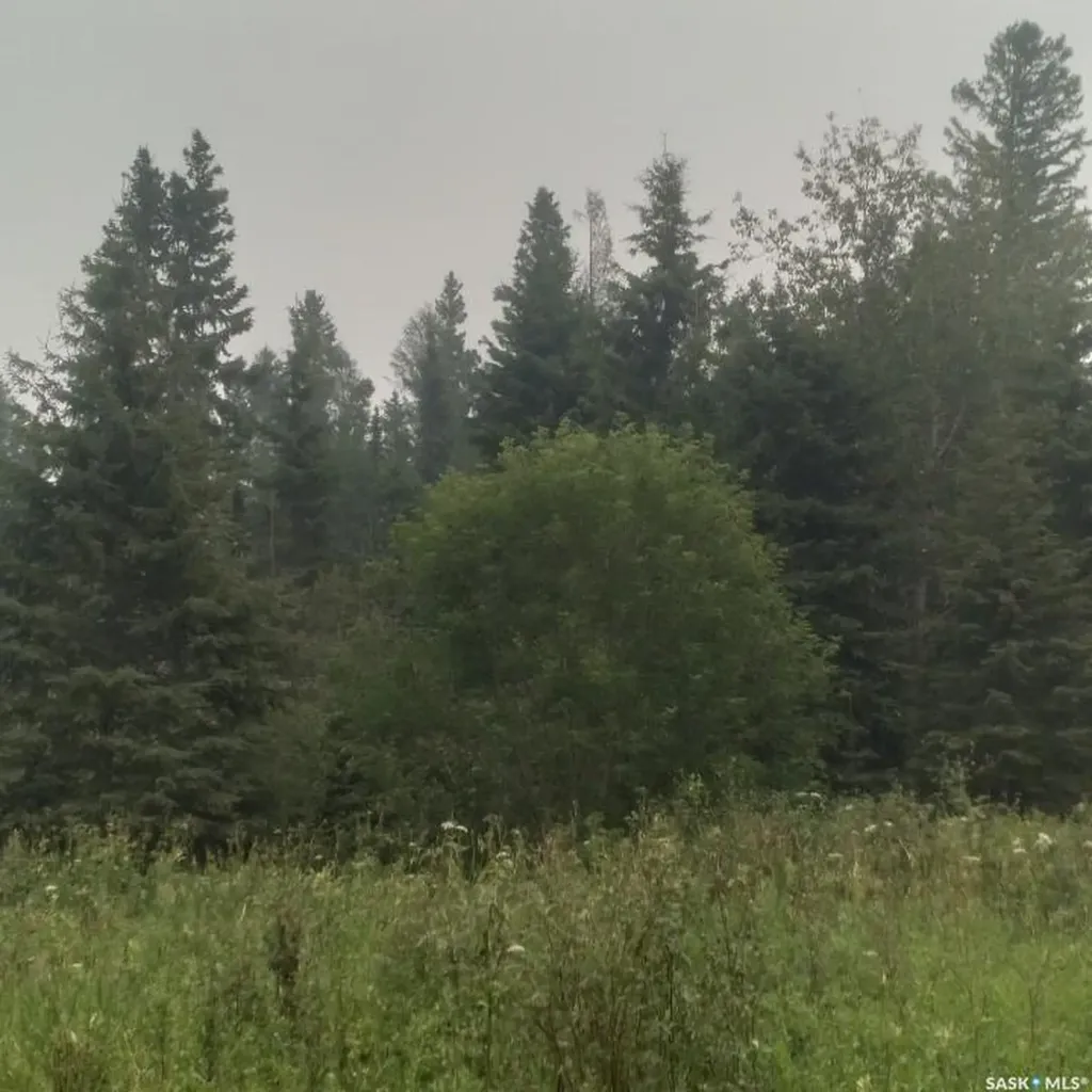 Rural Address Big River Rm No. 555 SK S0J 0E0