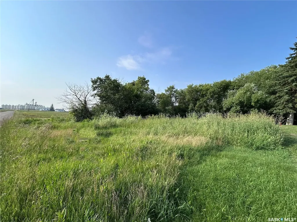 504 North Front Street Moosomin SK S0G 3N0