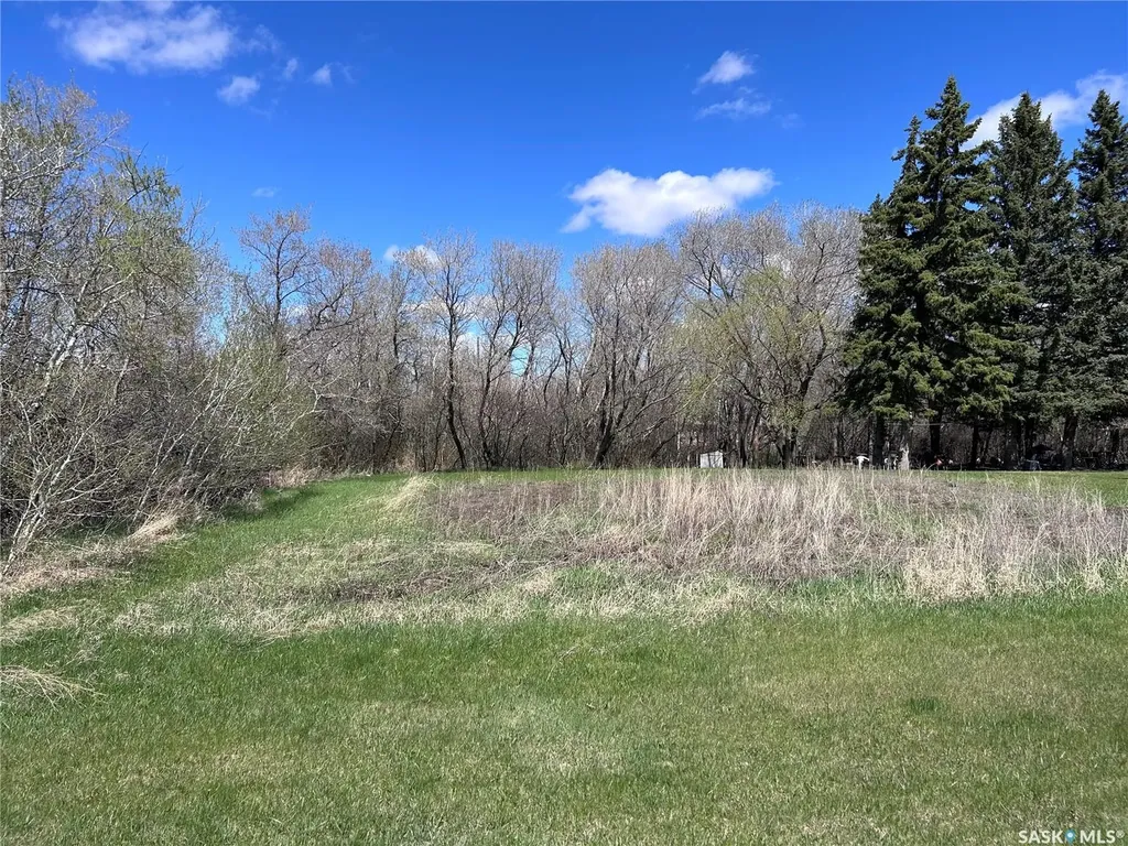 504 North Front Street Moosomin SK S0G 3N0