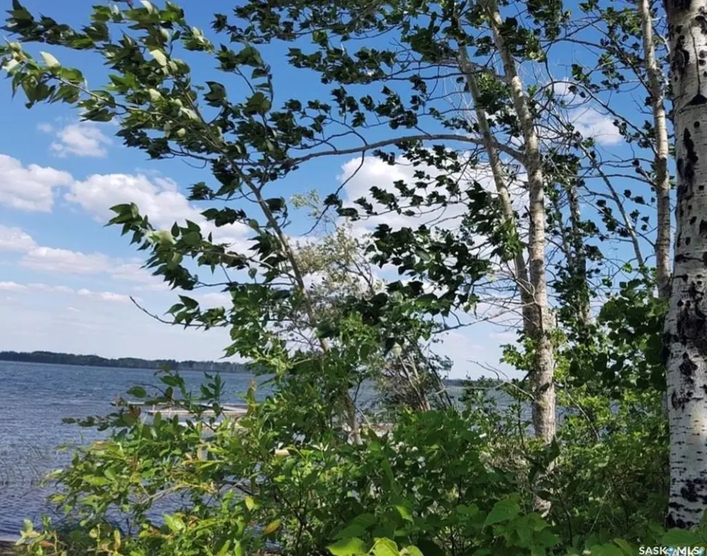 Lake Address Big River Rm No. 555 SK S0J 0E0
