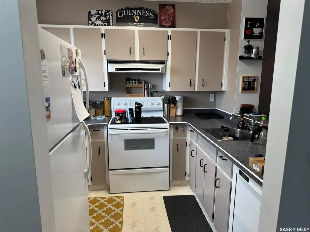603 Lenore Drive Saskatoon SK S7K 6S1