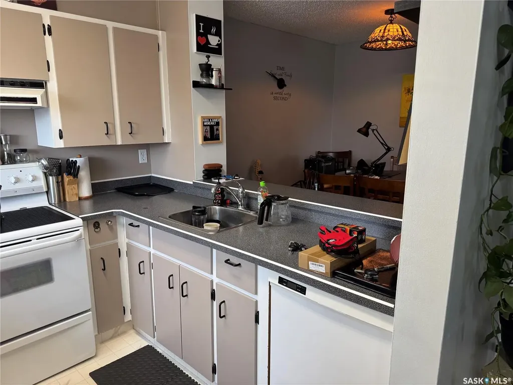 603 Lenore Drive Saskatoon SK S7K 6S1