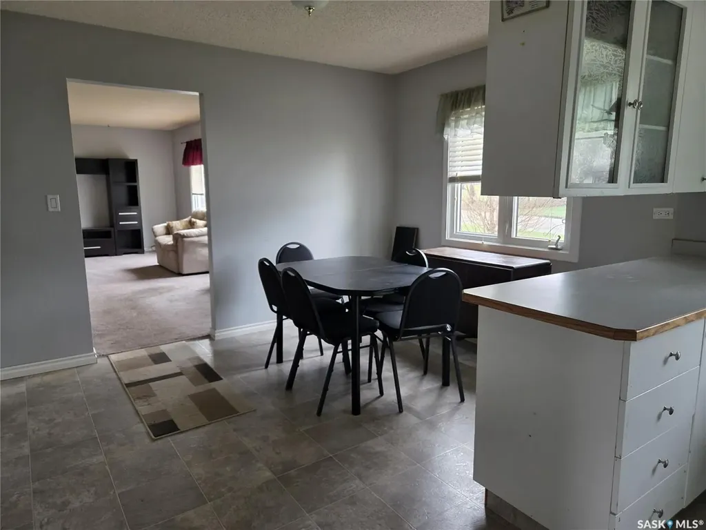 249 Sixth Street NE Wadena SK S0A 4J0