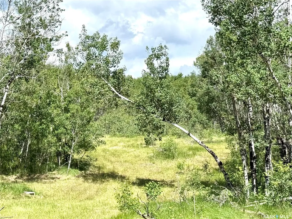 Blk A Rural Address Battle River Rm No. 438 SK S0M 0E0