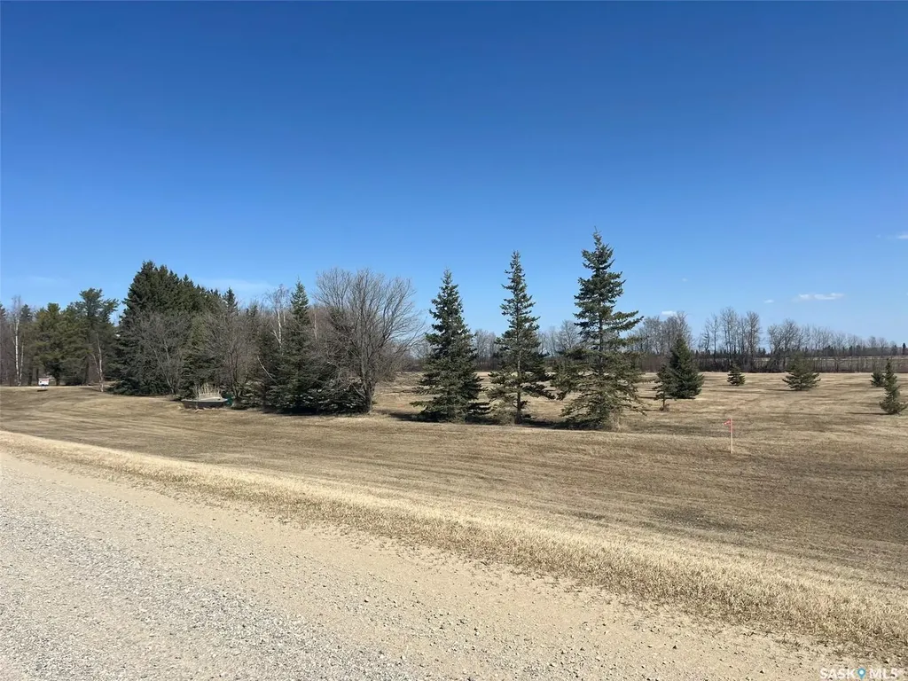 01 Rural Address Torch River Rm No. 488 SK S0J 2K0