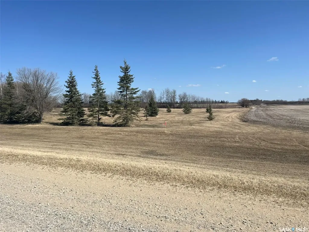 01 Rural Address Torch River Rm No. 488 SK S0J 2K0