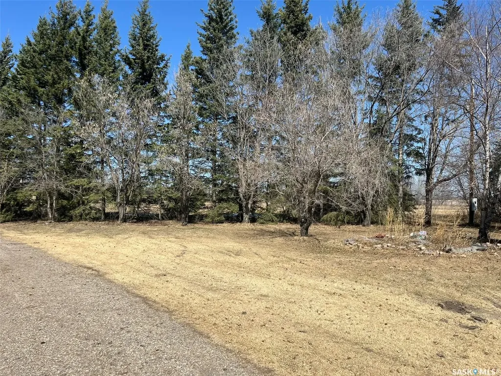 01 Rural Address Torch River Rm No. 488 SK S0J 2K0